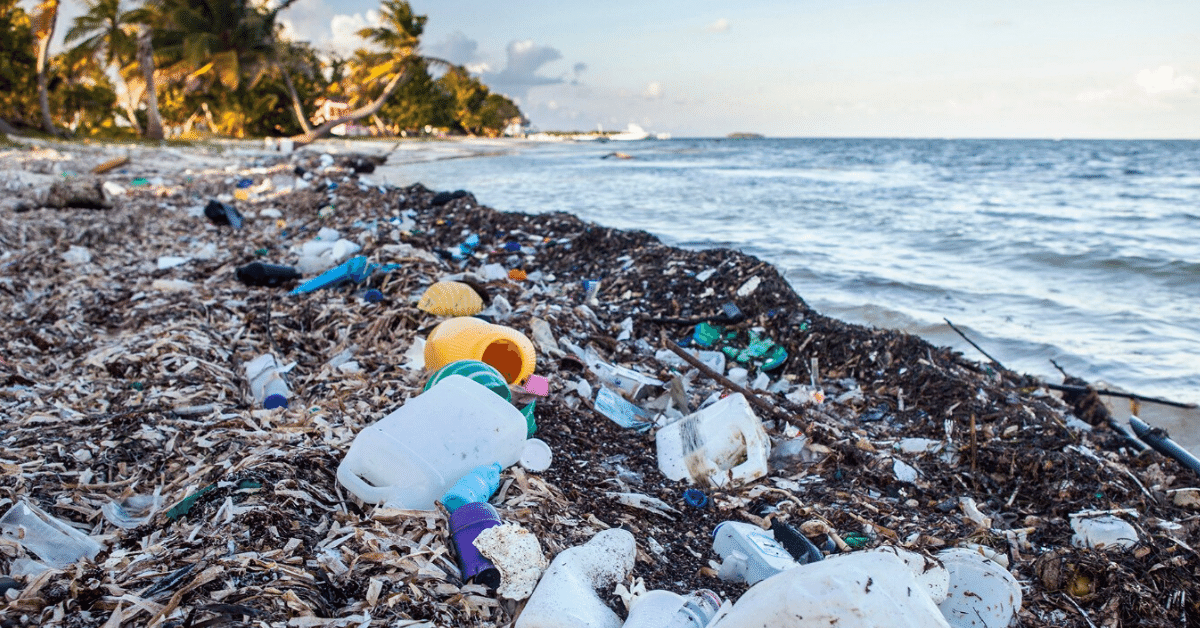 Garbage From All Around The World Set To Clog Our Oceans - Living Green 